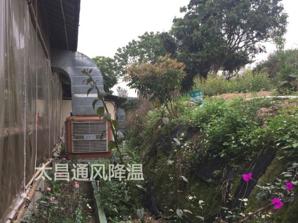餐廳太熱？環(huán)?？照{(diào)為你送清風(fēng)